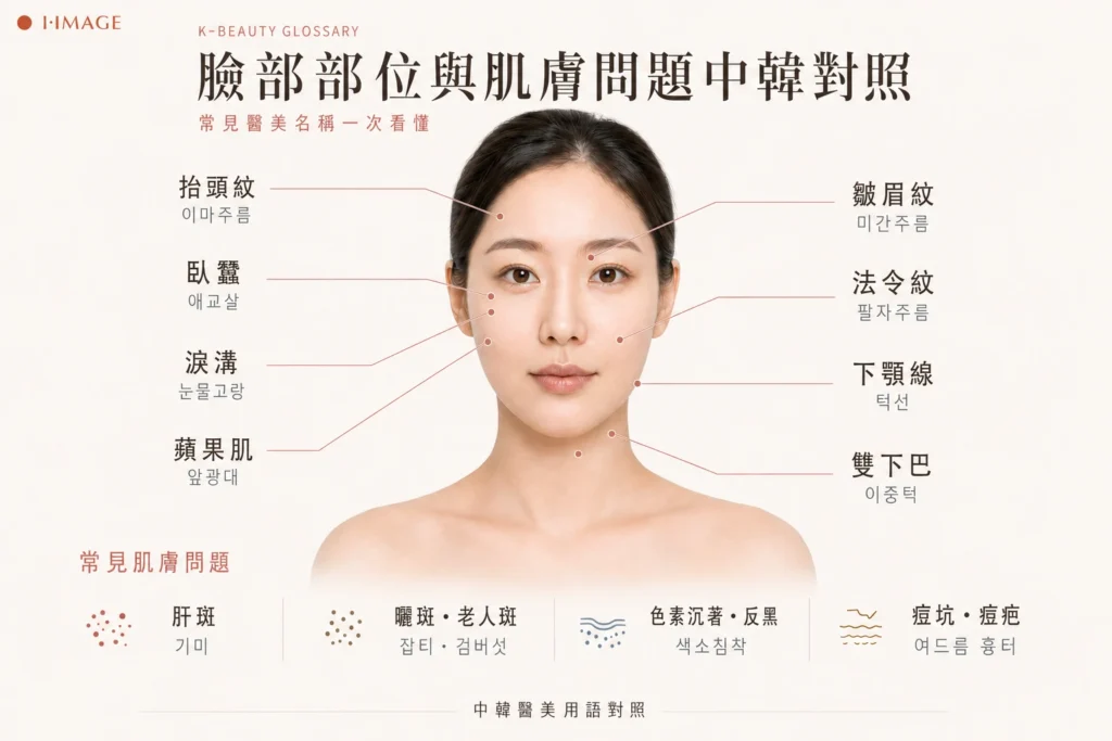 臉部部位名稱中韓對照圖：法令紋、臥蠶、蘋果肌、下顎線、淚溝的韓文說法
