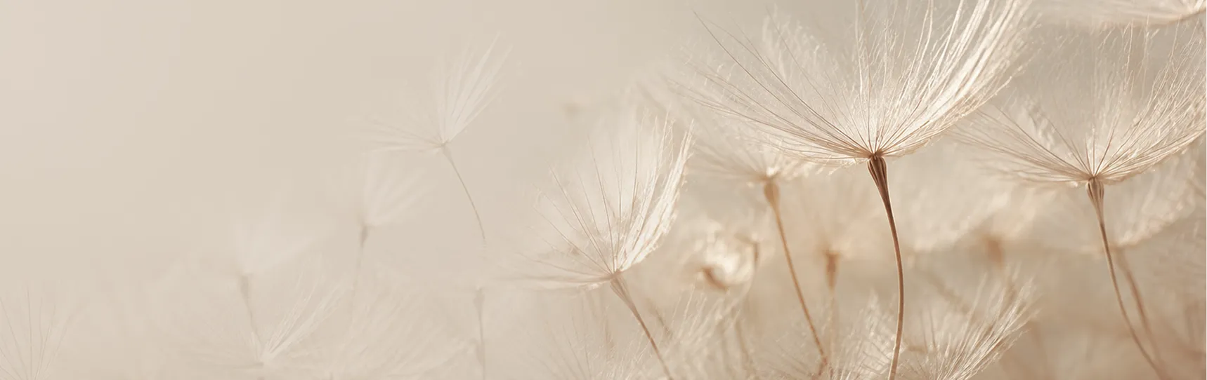 雷射除毛 | 告別毛髮困擾,肌膚光滑自信